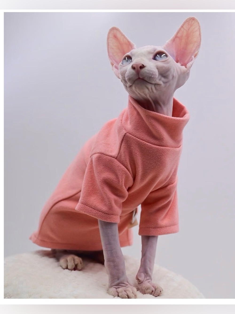 New Soft Coral Pink Turtleneck Cat Sweater for Hairless Breeds- large